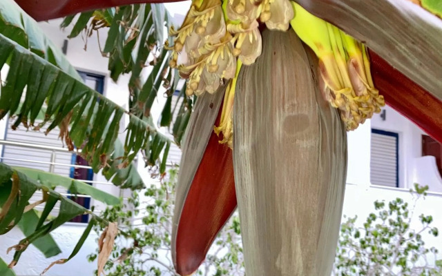 Sea Breeze 2 Apartments