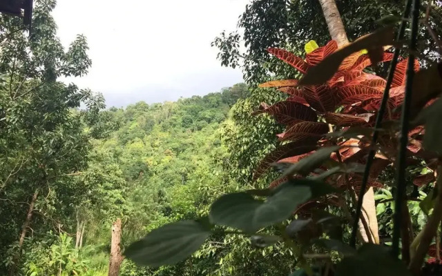 Knuckles Range - Aruni Villa