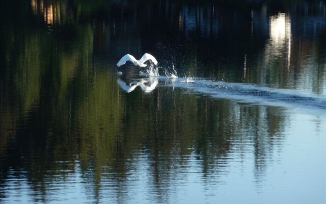 Cycle Inn Bed and Breakfast