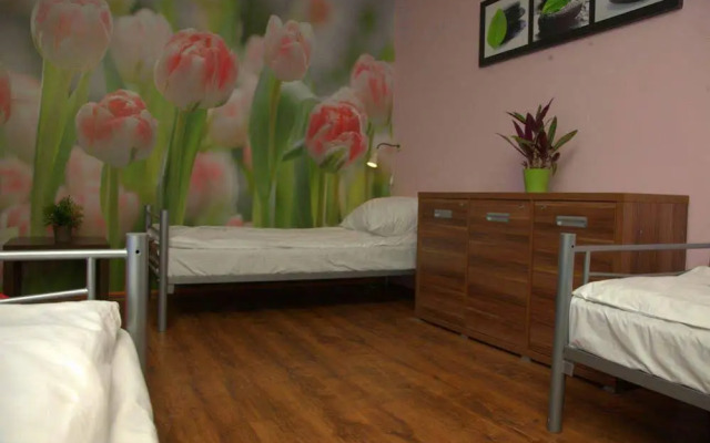 Hostel Krokodyl