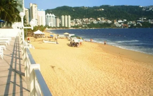 Camelia y Magnolia Torre