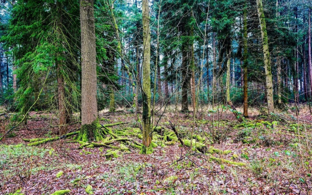 Secluded Holiday Home in Erp with Garden