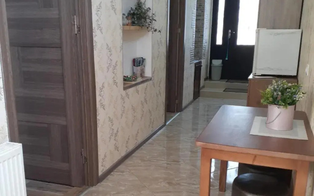 Apartments on Akhalubani St 2