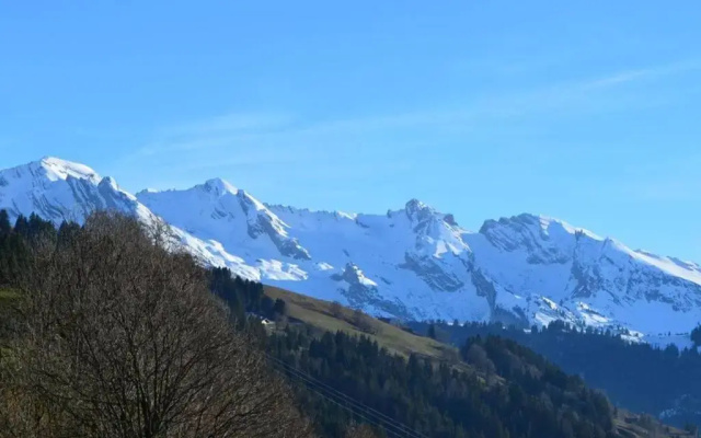 Appartement Le Grand-Bornand, 1 pièce, 4 personnes - FR-1-241-176