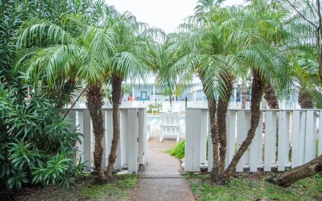 Rs179-saltwater Taffy