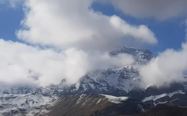 Hotel D Meadows Ladakh
