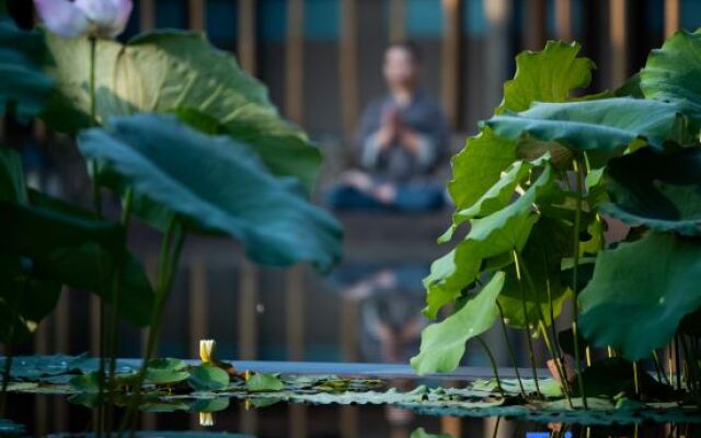 Undo Meditation Resort