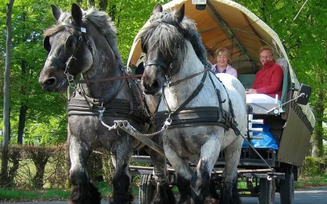Ferienwohnungen Wiesengrund