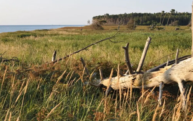 "laura" Comfortable Holiday Residence