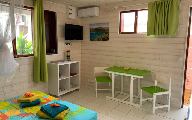 Les Lianes De Mysore