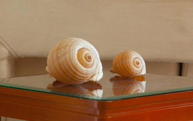 Pavlos Hotel