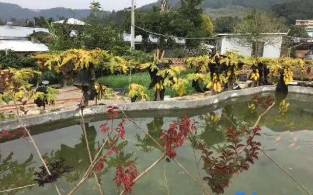 House of the flower