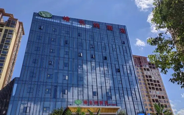 Vienna Hotel (Wuping Wanxing City Store)