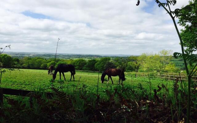 Bowhayes Farm