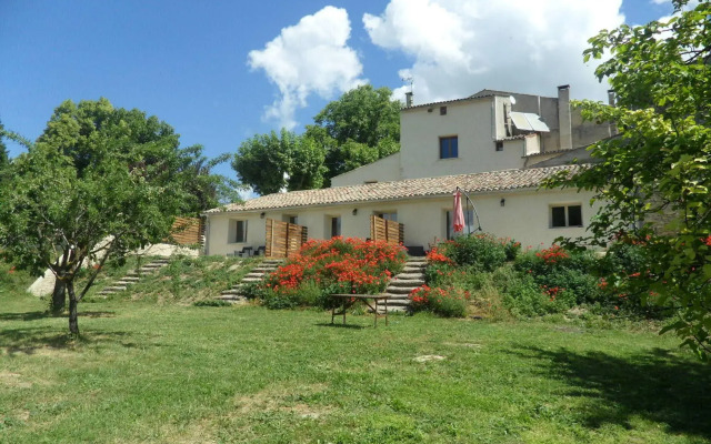 Les Ânes de Forcalquier