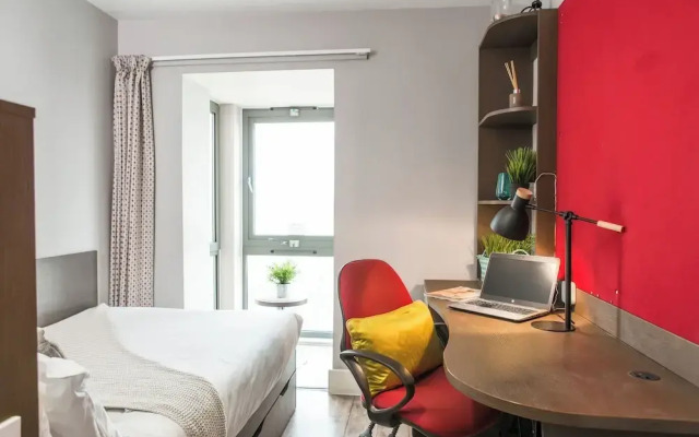 Student Only Dashwood Studios