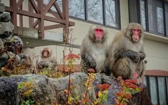 Sports Hotel SILVER SHIGA