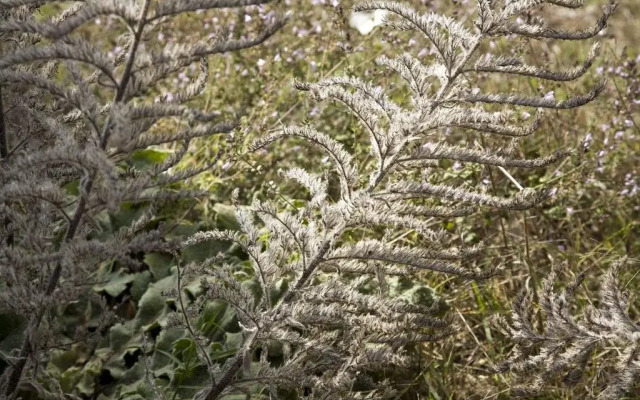 Slow Life Umbria - Relais de Charme