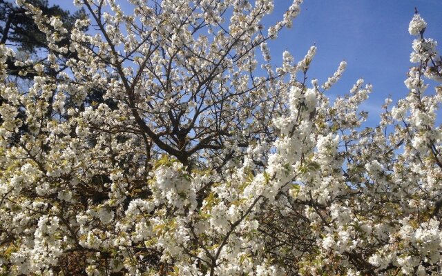 Le Pont Vert Chambres d'hôtes
