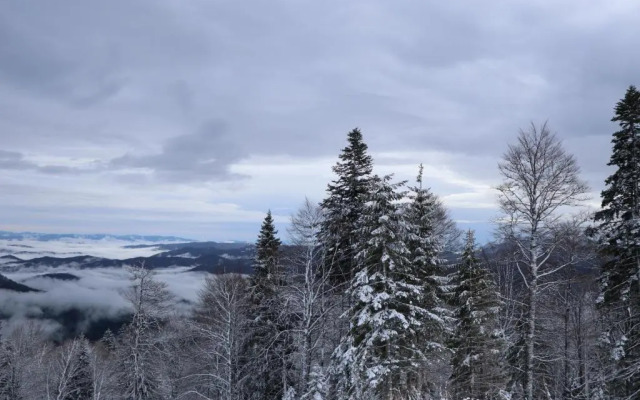 Apartmani VIDIK - Groodvy House