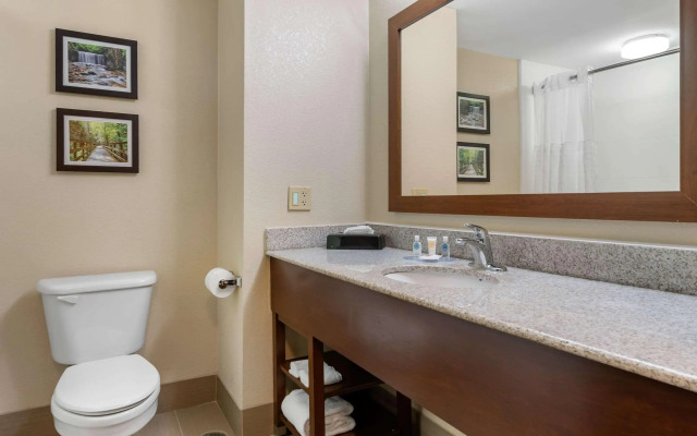 Comfort Inn & Suites Columbus East