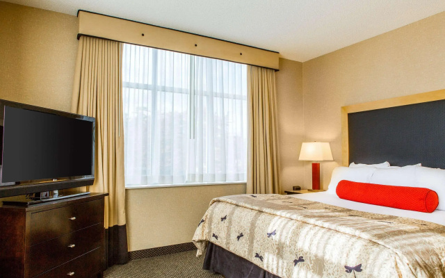 Cambria Hotel Raleigh - Durham Airport