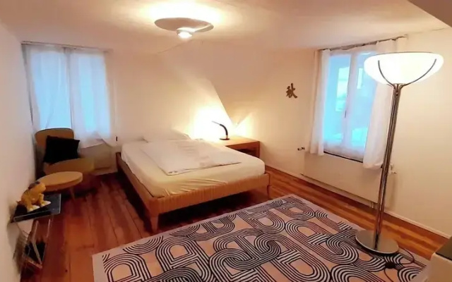 Spectacular Swiss Experience