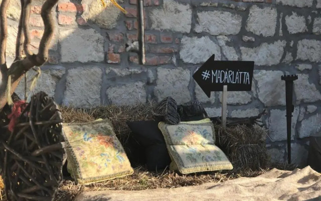 Madarlatta Vendeghaz