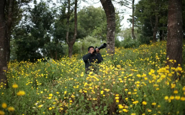 Logan Camp Ooty