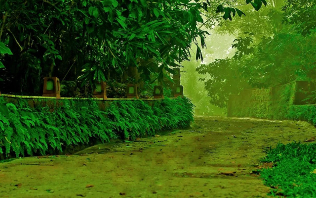 Wayanad Silverwoods Forest Resort & Spa