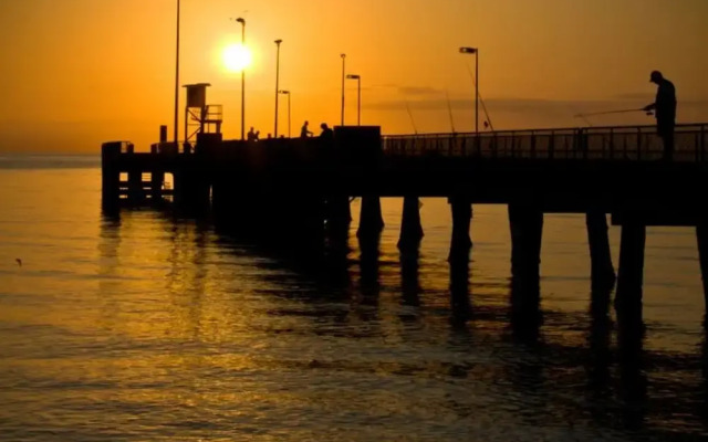 Oasis 4 at Palm Cove