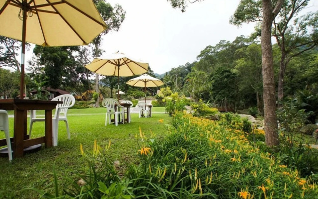 Hemerocallis Country House