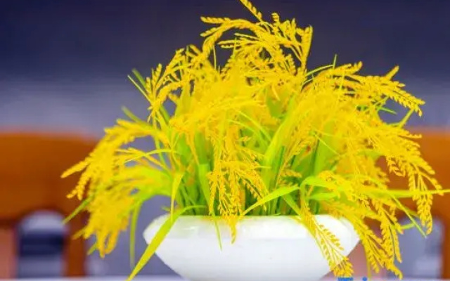 Shuhang·Healing-style Parent-Child Homestay·Yaohu Town Longchi Mountain Scenic Area Store