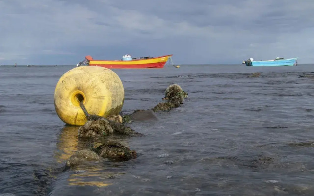 Villas Cabuya Beach & Jungle