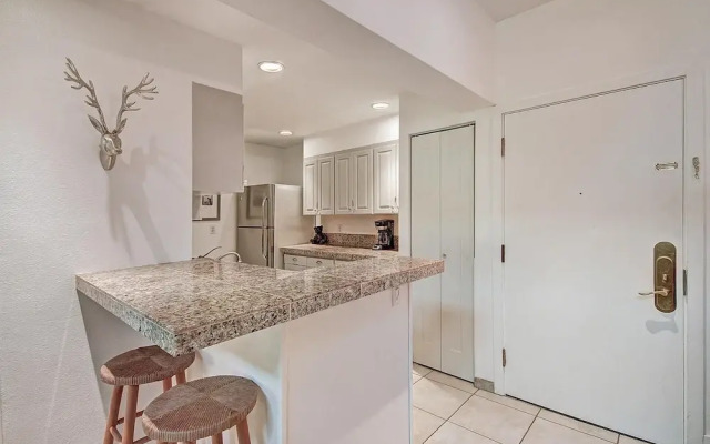 Newly Remodeled Ski-In Ski-Out Right By The Lift - FP304 by RedAwning