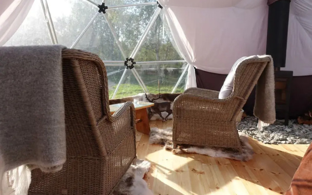 Wild Caribou Dome