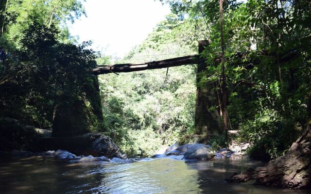 Hospedaje Los Pinos, cabaña en Minca