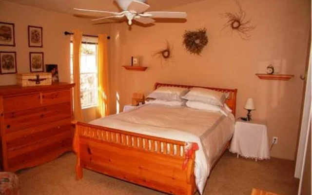 Kamp Kiwis Cabins