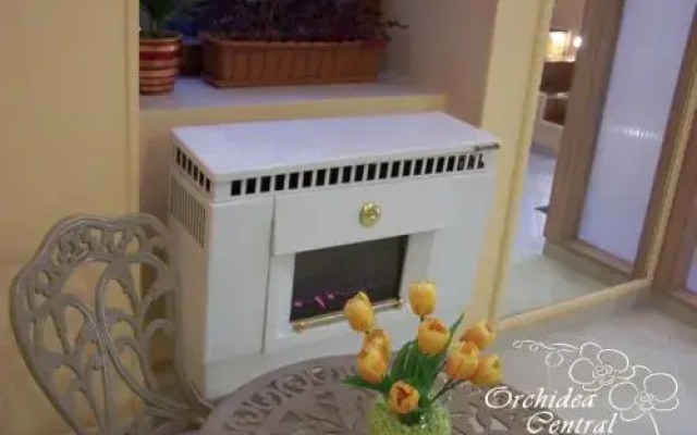Orchidea Central Apartment