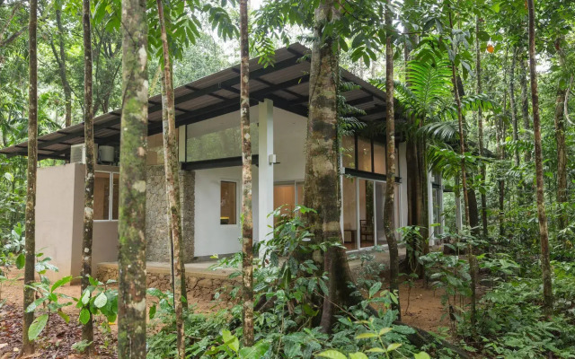Palmstone Retreat - Kithulgala