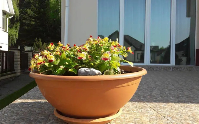 Vilnius Guest House