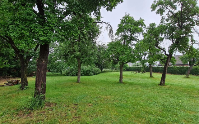 Eifelhof mit Obstbaumwiese