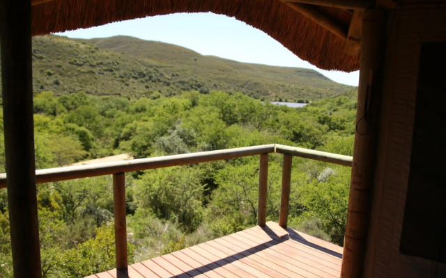 Garden Route Safari Camp