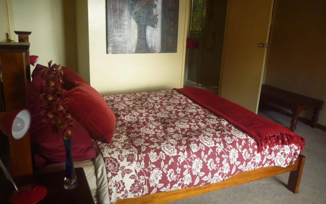 Pohutukawa Coast Bed & Breakfast
