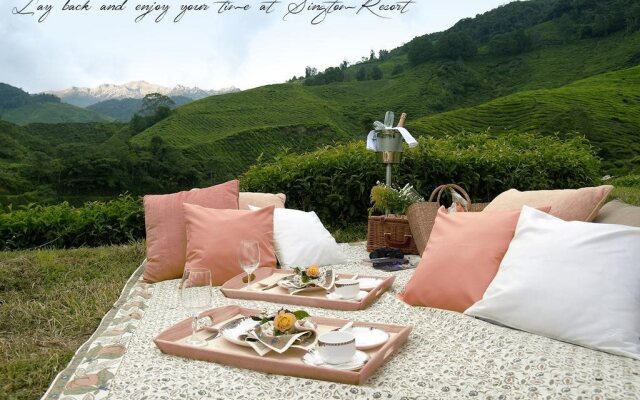 Singtom Tea Estate & Resort