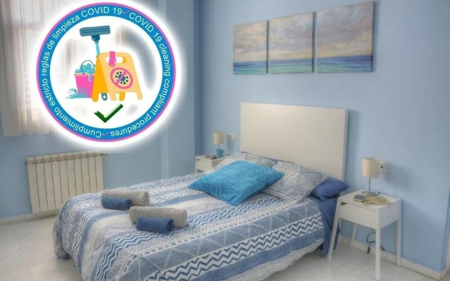 Wish-Suite Butterfly Sevilla