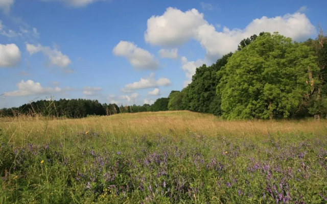 Mirabellenhof - Kleine Ferienwohnung mit Altstadtblick