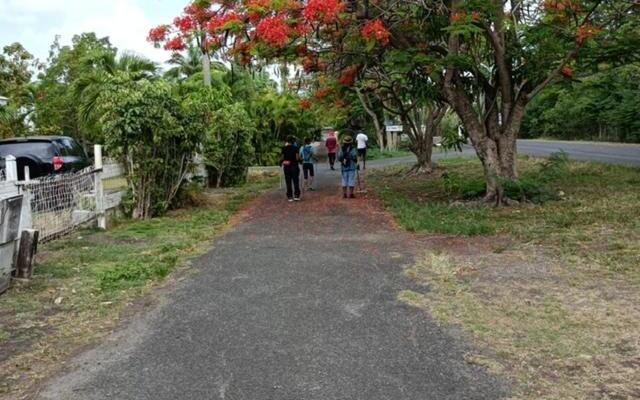 Studio Hibiscus Le Kayela