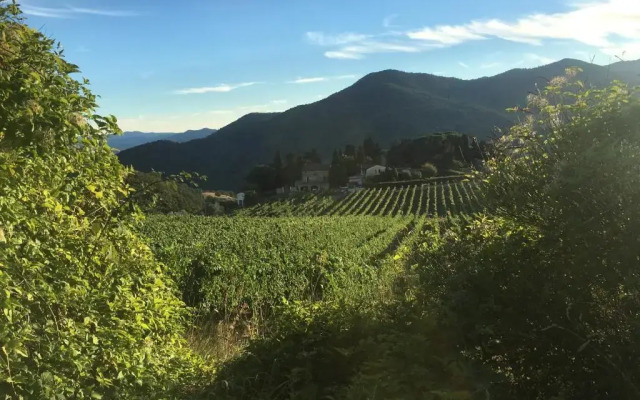 Azienda agricola Frascole
