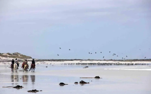 Casa Balena - Gansbaai seafront accommodation, back-up power